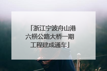 浙江宁波舟山港六横公路大桥一期工程建成通车