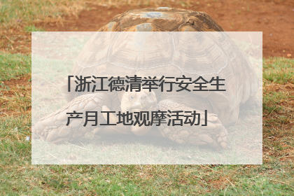 浙江德清举行安全生产月工地观摩活动