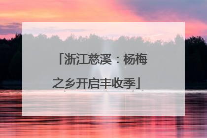 浙江慈溪：杨梅之乡开启丰收季