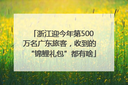 浙江迎今年第500万名广东旅客，收到的“锦鲤礼包”都有啥