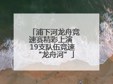 浦下河龙舟竞速赛精彩上演 19支队伍竞速“龙舟河”