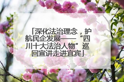 深化法治理念，护航民企发展——“四川十大法治人物”巡回宣讲走进宜宾