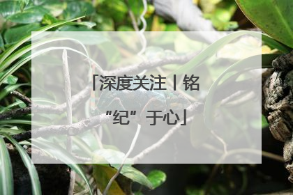 深度关注丨铭“纪”于心