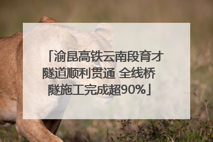 渝昆高铁云南段育才隧道顺利贯通 全线桥隧施工完成超90%