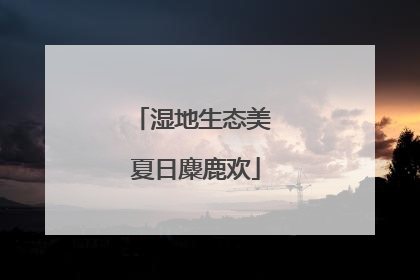 湿地生态美 夏日麋鹿欢