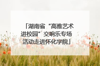 湖南省“高雅艺术进校园”交响乐专场活动走进怀化学院