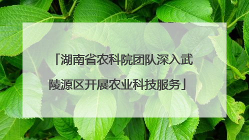 湖南省农科院团队深入武陵源区开展农业科技服务