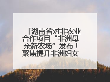 湖南省对非农业合作项目“非洲母亲新农场”发布！聚焦提升非洲妇女能力与家庭福祉