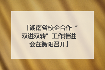 湖南省校企合作“双进双转”工作推进会在衡阳召开