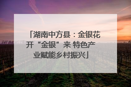 湖南中方县：金银花开“金银”来 特色产业赋能乡村振兴