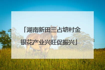湖南新田三占塘村金银花产业兴旺促振兴