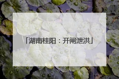 湖南桂阳：开闸泄洪