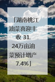 湖南桃江油菜喜迎丰收 31.24万亩油菜预计增产7.4%