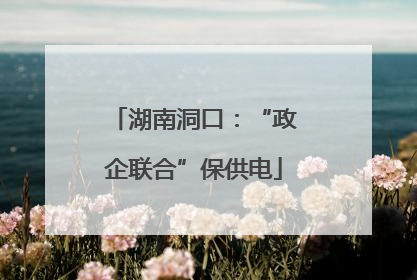 湖南洞口：“政企联合”保供电