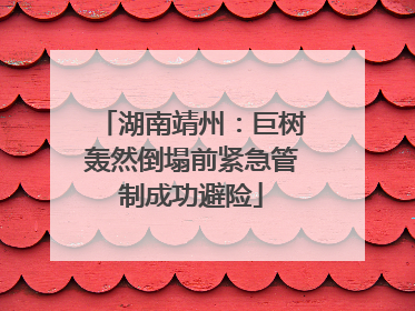湖南靖州：巨树轰然倒塌前紧急管制成功避险