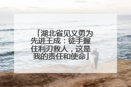 湖北省见义勇为先进王成：徒手握住利刃救人，这是我的责任和使命