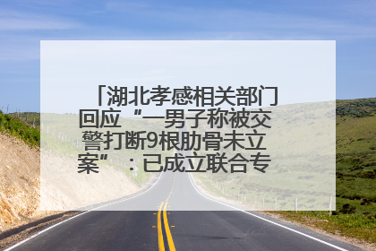 湖北孝感相关部门回应“一男子称被交警打断9根肋骨未立案”：已成立联合专班开展工作