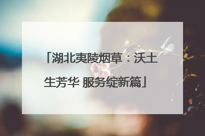 湖北夷陵烟草：沃土生芳华 服务绽新篇