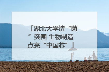 湖北大学造“菌”突围 生物制造点亮“中国芯”