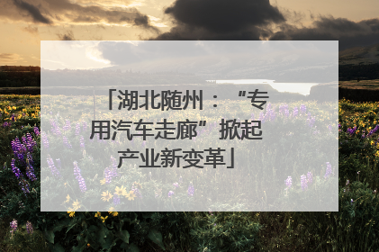湖北随州：“专用汽车走廊”掀起产业新变革