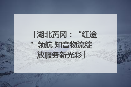 湖北黄冈：“红途”领航 知音物流绽放服务新光彩