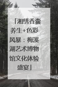湘绣香囊养生+色彩风暴：梅溪湖艺术博物馆文化体验盛宴