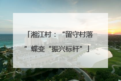 湘江村：“留守村落”蝶变“振兴标杆”