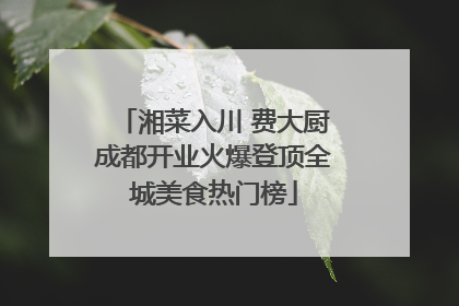 湘菜入川 费大厨成都开业火爆登顶全城美食热门榜