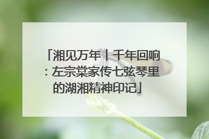 湘见万年丨千年回响：左宗棠家传七弦琴里的湖湘精神印记