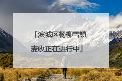 滨城区杨柳雪镇麦收正在进行中
