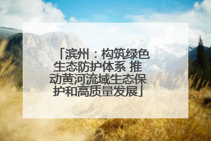 滨州：构筑绿色生态防护体系 推动黄河流域生态保护和高质量发展