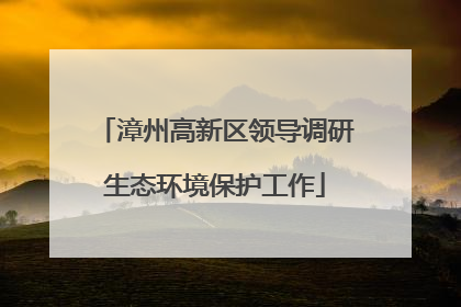 漳州高新区领导调研生态环境保护工作
