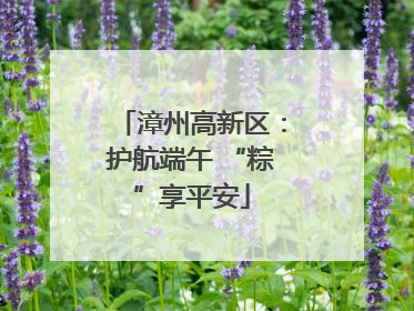 漳州高新区：护航端午 “粽”享平安