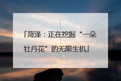 菏泽：正在挖掘“一朵牡丹花”的无限生机
