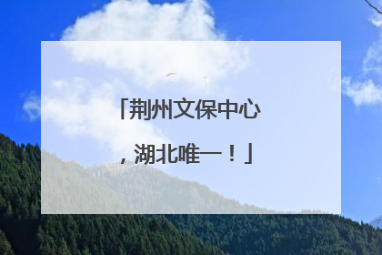 荆州文保中心，湖北唯一！