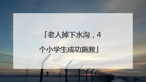老人掉下水沟，4个小学生成功施救