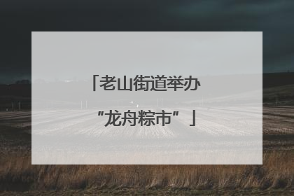 老山街道举办“龙舟粽市”