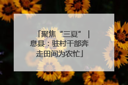 聚焦“三夏”｜息县：驻村干部奔走田间为农忙