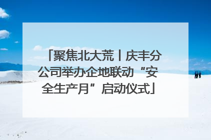 聚焦北大荒丨庆丰分公司举办企地联动“安全生产月”启动仪式