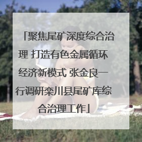 聚焦尾矿深度综合治理 打造有色金属循环经济新模式 张金良一行调研栾川县尾矿库综合治理工作
