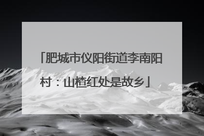 肥城市仪阳街道李南阳村：山楂红处是故乡