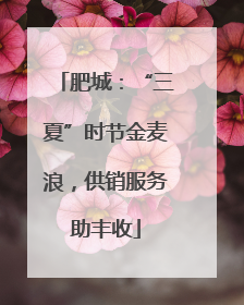 肥城：“三夏”时节金麦浪，供销服务助丰收