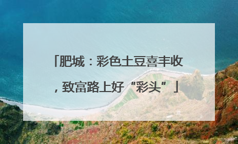 肥城：彩色土豆喜丰收，致富路上好“彩头”