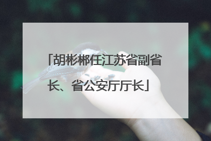 胡彬郴任江苏省副省长、省公安厅厅长