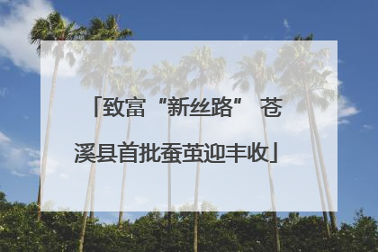 致富“新丝路” 苍溪县首批蚕茧迎丰收