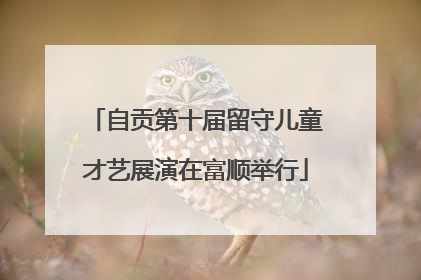 自贡第十届留守儿童才艺展演在富顺举行