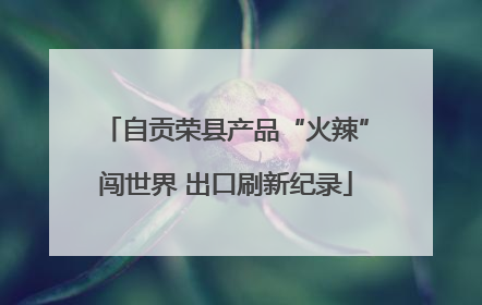 自贡荣县产品“火辣”闯世界 出口刷新纪录