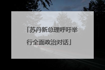 苏丹新总理呼吁举行全面政治对话