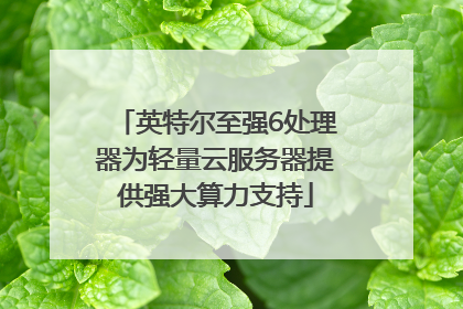 英特尔至强6处理器为轻量云服务器提供强大算力支持