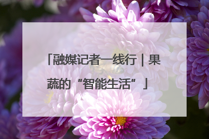 融媒记者一线行｜果蔬的“智能生活”